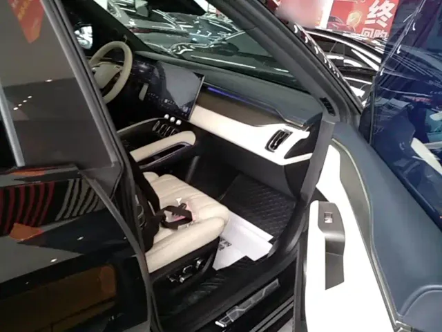 BYD Song L EV — Фото автомобиля 24