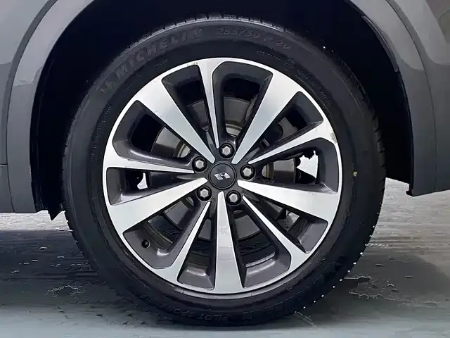 Li Auto ONE — Фото автомобиля 19