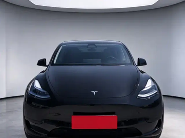 Tesla Model Y — Фото автомобиля 2