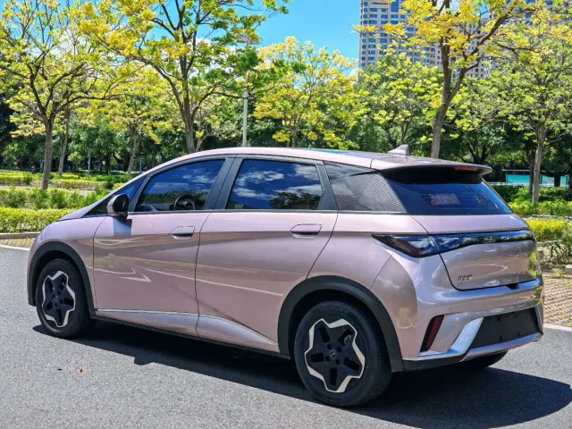 BYD Dolphin — Фото автомобиля 6