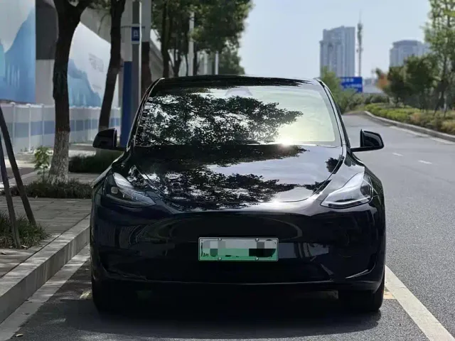 Tesla Model Y — Фото автомобиля 2