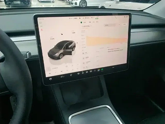 Tesla Model Y — Фото автомобиля 12