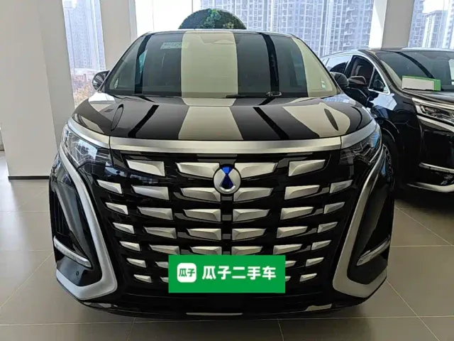 Denza D9 — Фото автомобиля 2