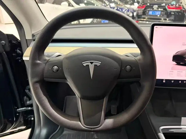 Tesla Model Y — Фото автомобиля 7