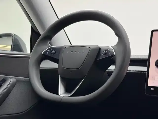 Tesla Model Y — Фото автомобиля 10