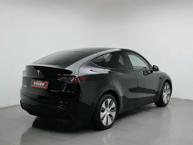 Tesla Model Y — Фото автомобиля 2