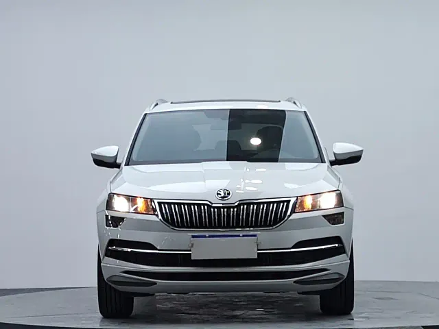 Skoda Karoq — Фото автомобиля 2