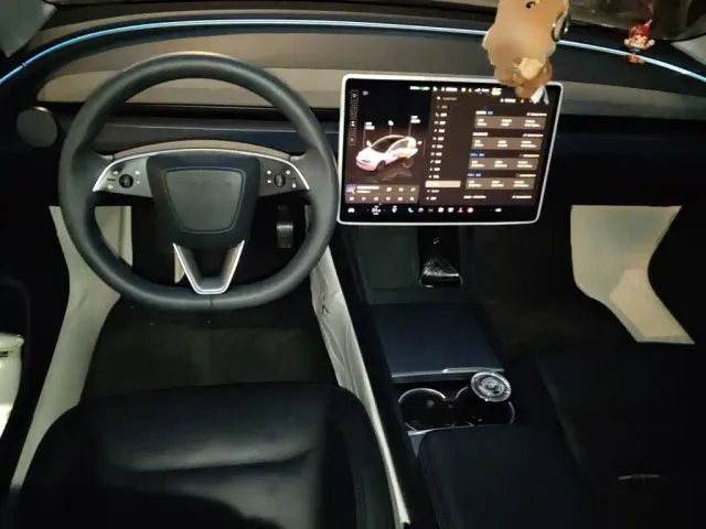 Tesla Model 3 — Фото автомобиля 10