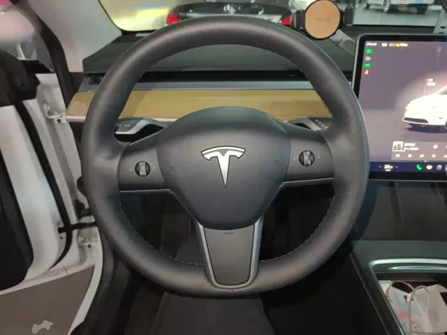 Tesla Model Y — Фото автомобиля 10
