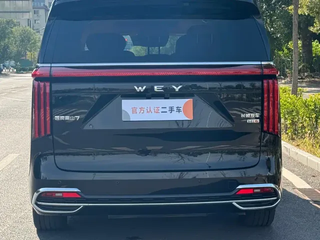 Wey Alpine — Фото автомобиля 6