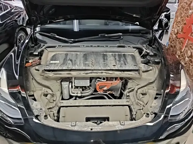 Tesla Model Y — Фото автомобиля 19