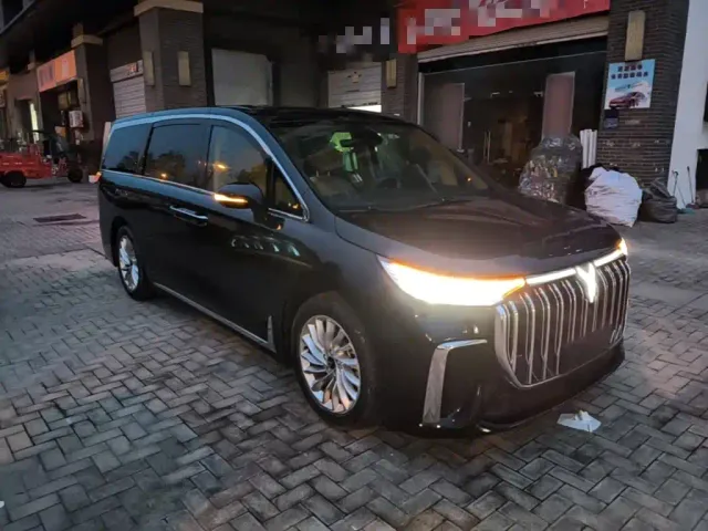 Voyah Auto Voyah Dreamer 2024 PHEV Ultra Long Range Premium Edition — Фото автомобиля 3