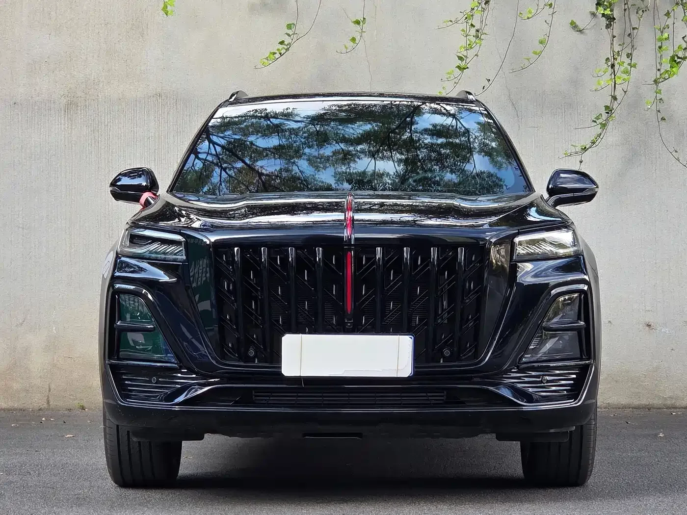 Hongqi Hongqi HS5 2026 2.0T 4WD Mystic Shadow Edition — Фото автомобиля 2