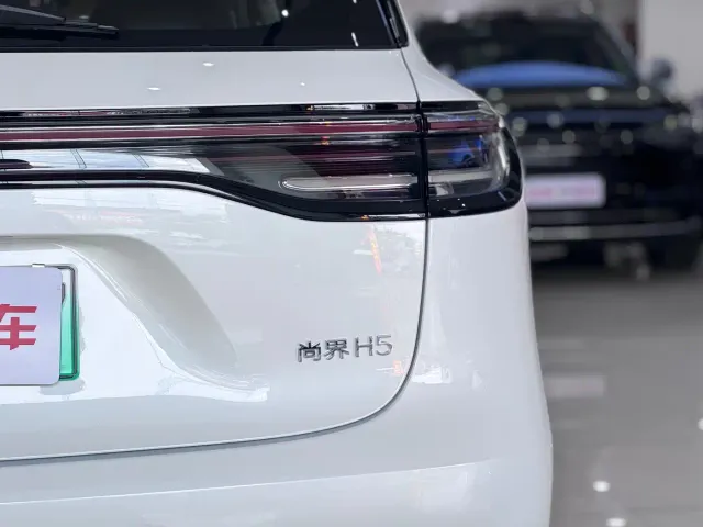 Shangjie SUV — Фото автомобиля 18
