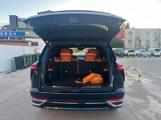 Wey Lanshan — Фото автомобиля 10