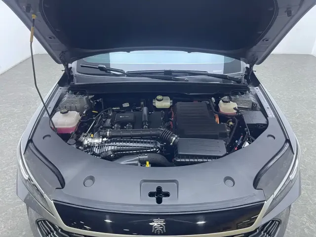 BYD Qin PLUS — Фото автомобиля 19