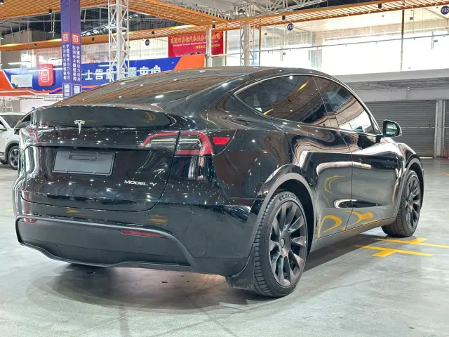 Tesla Model Y — Фото автомобиля 5