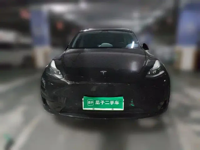 Tesla Model Y — Фото автомобиля 22