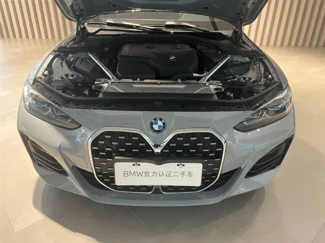 BMW 4 Series — Фото автомобиля 13