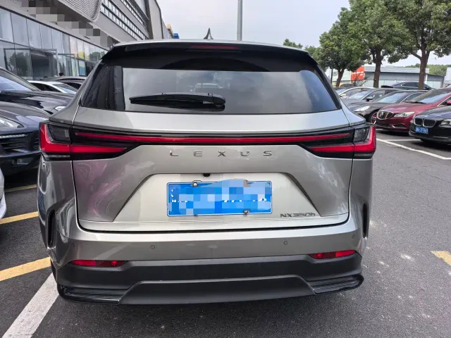 Lexus NX — Фото автомобиля 18