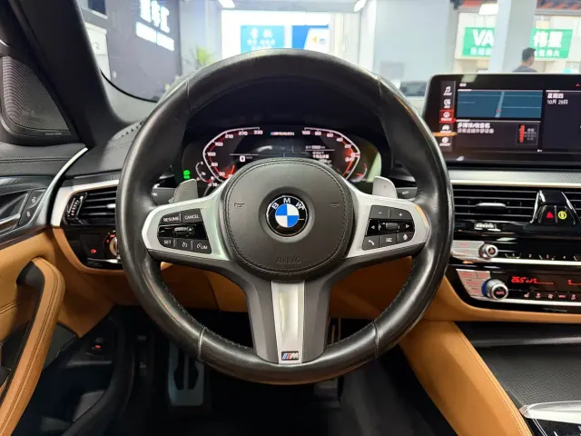 BMW 5 Series — Фото автомобиля 8