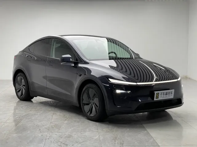 Tesla Model Y — Фото автомобиля 3