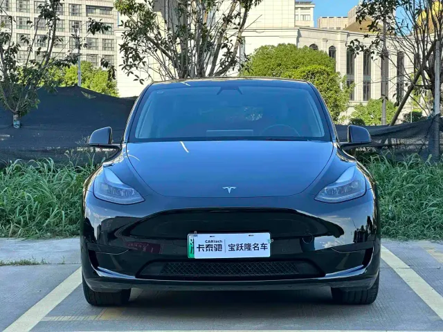 Tesla Model Y — Фото автомобиля 2