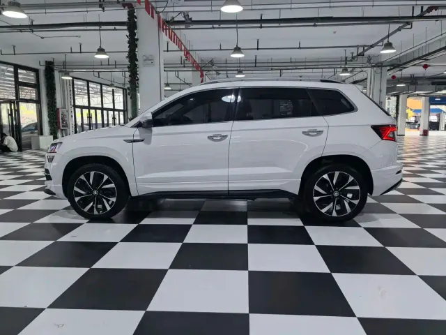 Skoda Karoq — Фото автомобиля 7