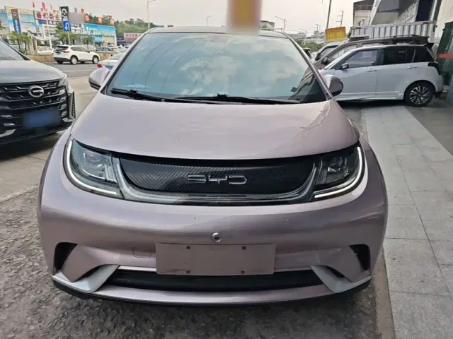 BYD Dolphin — Фото автомобиля 2