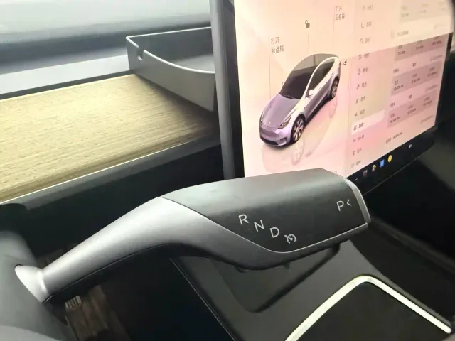 Tesla Model Y — Фото автомобиля 13
