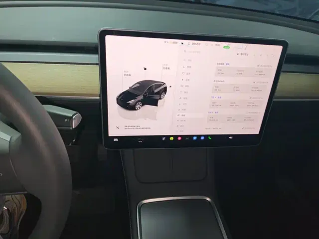 Tesla Model Y — Фото автомобиля 12