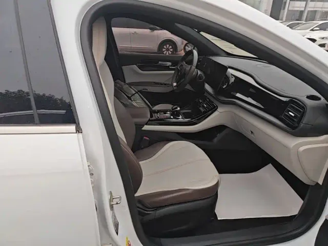 BYD Qin PLUS — Фото автомобиля 24