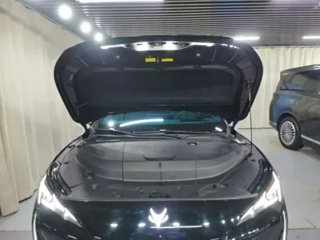 Arcfox Alpha S5 — Фото автомобиля 19