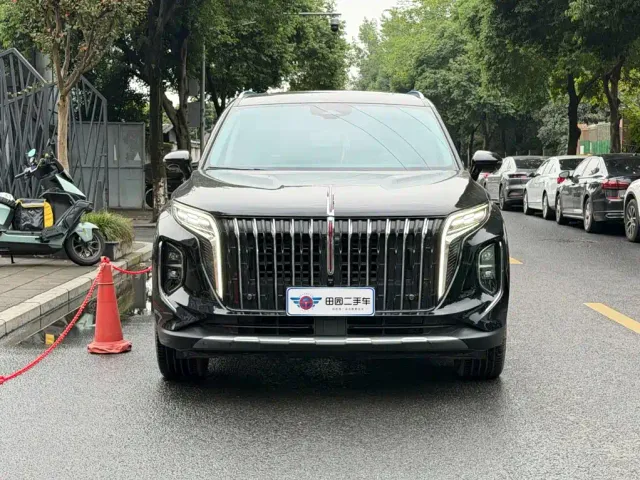 Hongqi HS7 — Фото автомобиля 2