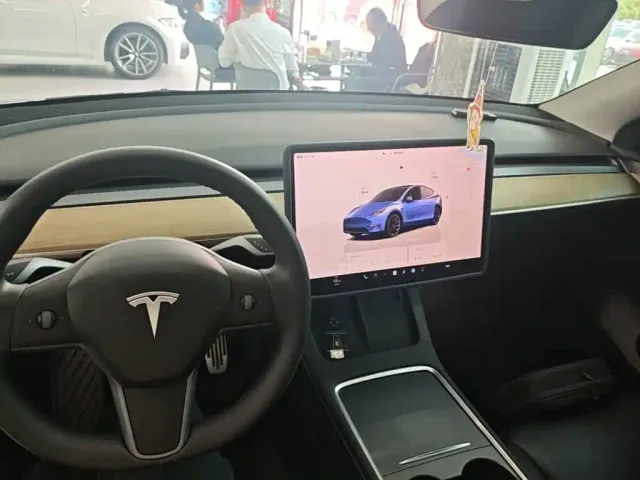 Tesla Model Y — Фото автомобиля 9