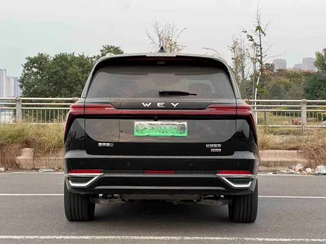 Wey Lanshan — Фото автомобиля 9