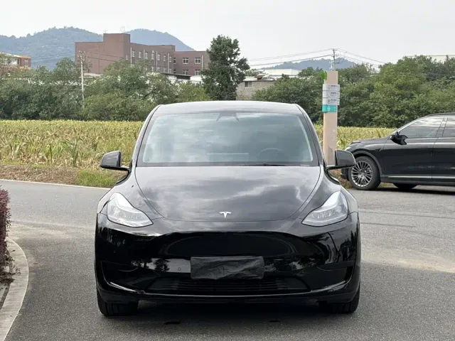 Tesla Model Y — Фото автомобиля 2