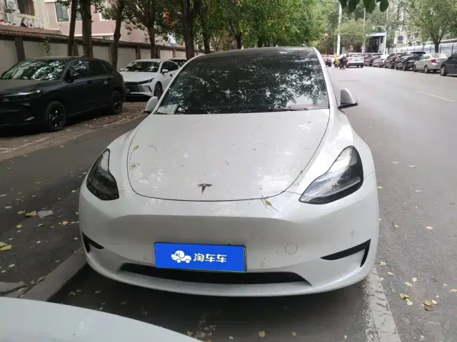 Tesla Model Y — Фото автомобиля 2