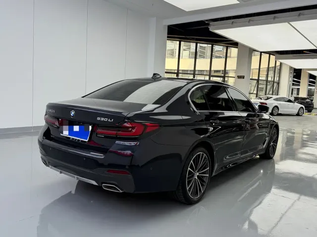 BMW 5 Series — Фото автомобиля 13