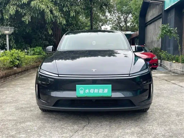 Tesla Model Y — Фото автомобиля 2