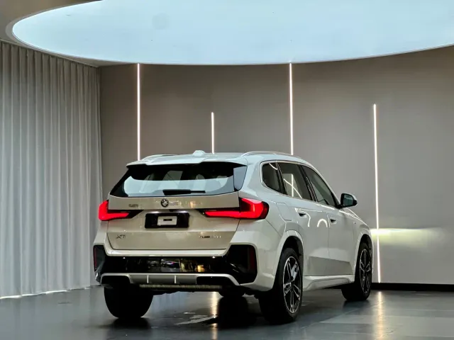 BMW X1 — Фото автомобиля 8
