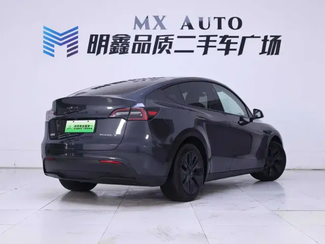 Tesla Model Y — Фото автомобиля 7