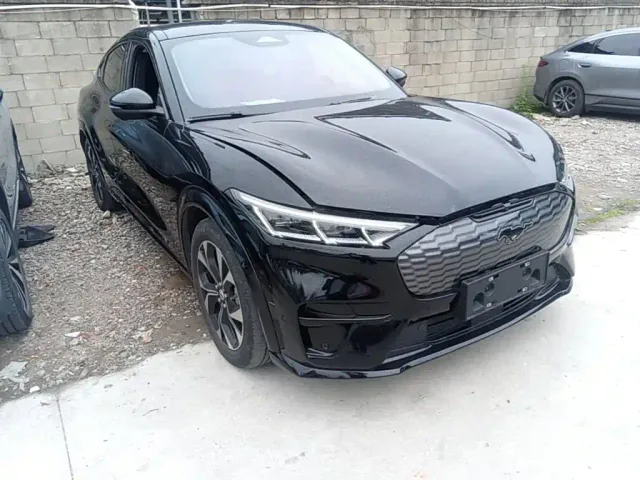 Ford Mustang Mach-E — Фото автомобиля 3