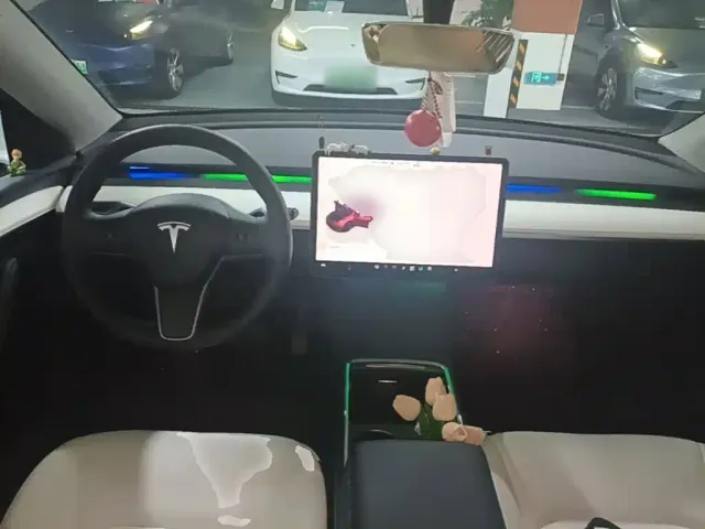 Tesla Model Y — Фото автомобиля 9