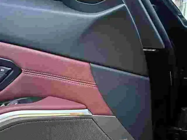 BMW BMW 3 Series 2023 325Li M Sport Black Night Package — Фото автомобиля 8