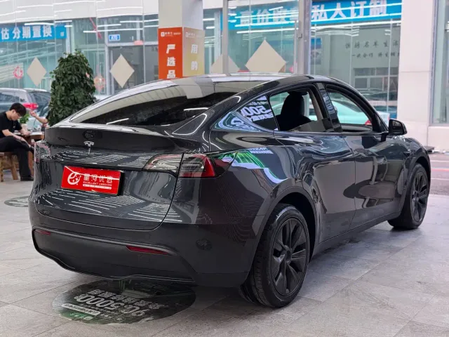 Tesla Model Y — Фото автомобиля 7