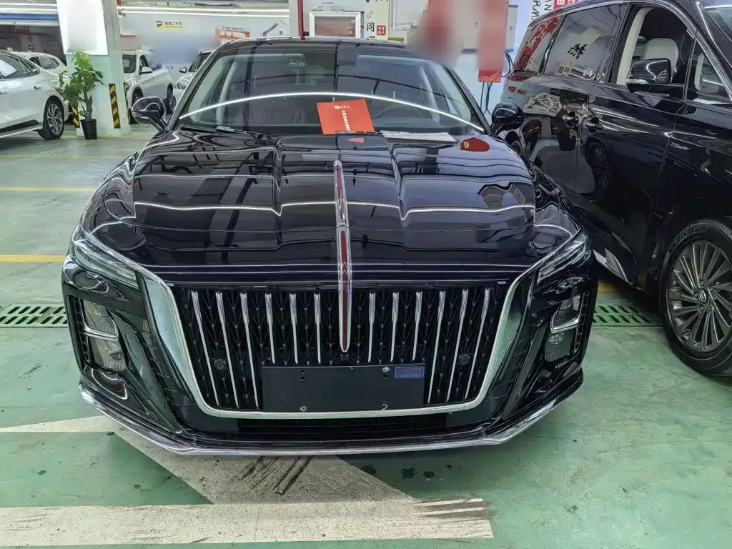 Hongqi Hongqi H5 2024 1.5T DCT Smart Connect Flag Rhythm Edition — Фото автомобиля 4