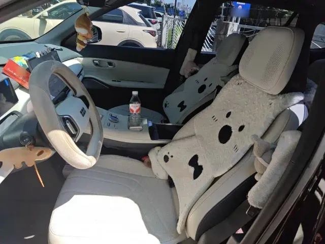 Geely Galaxy Starship 7 EM-i — Фото автомобиля 11