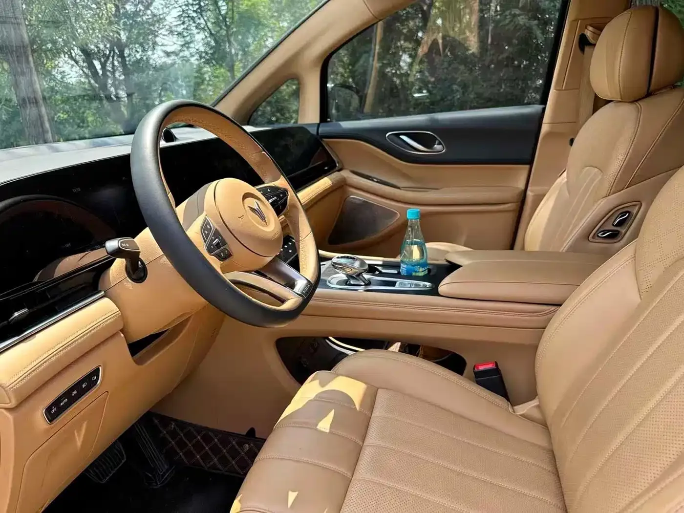 Voyah Auto Voyah Dreamer 2024 PHEV Extended Range Premium Edition — Фото автомобиля 4