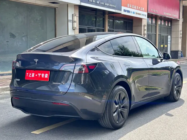 Tesla Model Y — Фото автомобиля 10